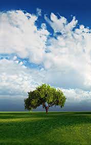 Natur Photos Landscape Pictures Beautiful Nature Beautiful Nature Wallpaper