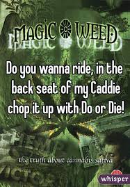 Do You Wanna Ride In The Back Seat Of My Caddie Chop It Up With Do