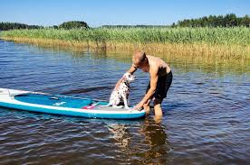 We did not find results for: No Greater Friendship Than A Man And His Dog