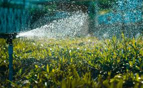 How to put a sprinkler system in your yard. Best Yard Irrigation Systems Brinly Hardy Company Blog