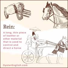 نتیجه جستجوی لغت [rein] در گوگل