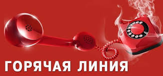 горячая линия — Абакан Сегодня