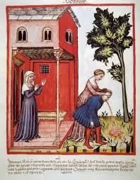 Image result for Vomiting History