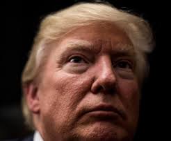 Sarah Everidge (@SarahEveridge)