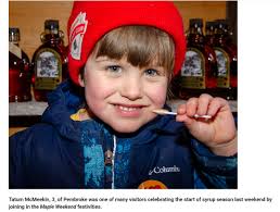 Ending Maple Syrup Season in Ontario