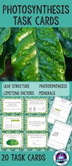 Photosynthesis Task Cards With Images Photosynthesis Task Cards Photosynthesis Activities