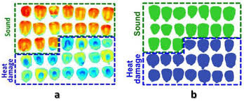 Downloading and building the source from github. Sensors Free Full Text Recent Applications Of Multispectral Imaging In Seed Phenotyping And Quality Monitoring An Overview Html
