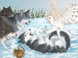 Doch als ein bärenjunges entführt wird geraten die gardewölfe unter verdacht. 10 Clan Der Wolfe Ideen Wolf Legende Der Wachter Die Legende