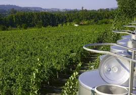 Последние твиты от lyndsy fonseca (@lyndsymfonseca). Portugiesischer Wein Und Spirituosen In Hagen