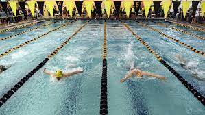 Maybe you would like to learn more about one of these? Complete Swimming Results From The 2020 Bergen County Meet Of Champions