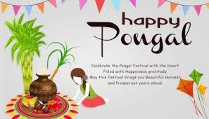 Short Essay Speech On Pongal Festival For School Students In English Hindi Tamil Happy Pongal Happy Pongal Wishes Happy Makar Sankranti Images