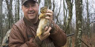 Place squirrel back into the skillet, turn to low heat, cover and cook for approximately 1 hour. Chicken Fried Squirrel With Pan Gravy Andrew Zimmern