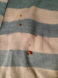 I needed to know how to get food coloring stains out of clothing thanks to my son and a little incident with an exploding frosting bag. Must Run In The Family How To Get Food Coloring Out Of Clothing