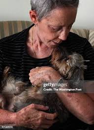 9,685 Eloise Stock Photos, High-Res Pictures, and Images