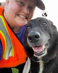 Welcome To Springfield