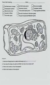 Plant Cell Coloring Key Awesome Plant Diagram Coloring Sheet Mrpage Plant Cells Worksheet Animal Cells Worksheet Cells Worksheet