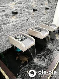 Di jepang, ikan ini memiliki 174 jenis. Ecop193 Water Ponds Malaysia Kolam Ikan Hiasan Johor Fengshui Garden Koi Fish Landscape é£Žæ°´æ±  å›­è‰º é±¼æ±  New Arrival Ecop193 Johor Bahru Jb Supplier Supply Install Ole Ole Water Pond Deco