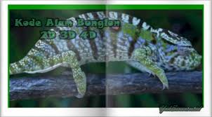 Kelelawar yang masuk rumah pada waktu magrib dan malam jumat juga memiliki pertanda tersendiri. Kode Alam Bunglon 2d 3d 4d Erek Erek Dan Primbon