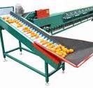 Automatic Multifunctional Fruit Grading Machine, Applied To ...