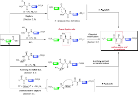 Reviews of john lomas removals ltd in cannock; Chemoselective Ligation And Modification Strategies For Peptides And Proteins Hackenberger 2008 Angewandte Chemie International Edition Wiley Online Library