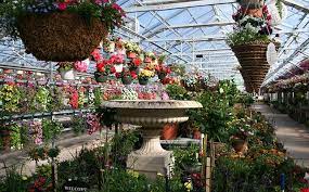 Restaurants in de buurt van hidden acres greenhouse & cafe. Greenhouse Video Picture Gallery Honeymoon Acres Greenhouse