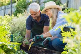 Yard work and gardening may be your hobby, your passion or simply weekend chores. Physical Therapy Tips For Gardening Yard Work Safety Premier Therapy