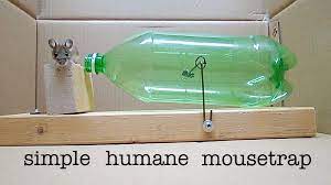 Make A No Kill Mouse Trap With A Soda Bottle Homemade Mouse Traps Mouse Traps Rat Traps