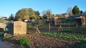 Saint Just En Chaussee Les Jardins Familiaux Remis En Vedette