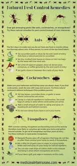 For pest control adelaide blog of home improvement pest control blogs this is the best platform where you can see the best blogs and information. 130 Pest Control Infographics Ideas Pest Control Pests Garden Pests