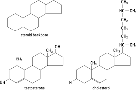 Organic Molecules