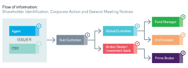 A custodian bank provides an investor a place to store assets with little risk.custodian banks normally require a fee for this service. Building Future Foundations Deutsche Bank