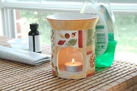 The yeast and sugar bait are placed inside the bottle to create a how to get rid of mosquitoes inside the house. How To Get Rid Of Mosquitoes Indoors Hunker Diy Mosquito Repellent Indoor Mosquito Repellent Mosquito Trap Diy