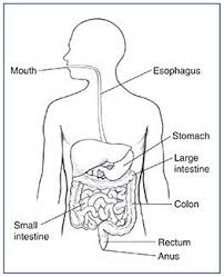 Pin On Health