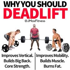 4 Deadlift Variations To Achieve A Banging Body Gymguider Com Good Back Workouts Deadlift Back Exercises
