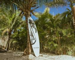 Image of palm tree swaying in the wind with a surfboard next to it