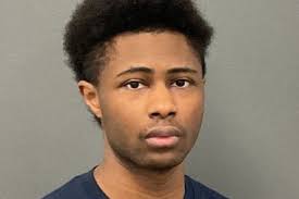 Mod Mom: Danielle Paulus