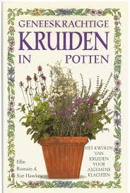 34 Decoratieve Potten Van Verschillende Modellen En Maten W In Dit Boek Beschreven Voor Het Kweken Van Kruiden In Een A Kruiden Geneeskrachtige Kruiden Potten