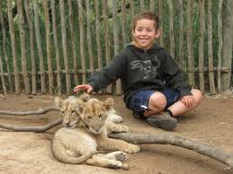 Image result for cuddle a cub