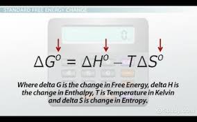 Thermodynamic plot for the binding of cu 2+ and ni 2+ ions to the synthesized sno 2. The Relationship Between Free Energy And The Equilibrium Constant Video Lesson Transcript Study Com