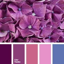 The best color schemes have the power to catch attention, generate emotion and make a lasting statement. Dark Blue And Pink Color Palette Ideas