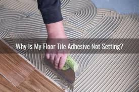 Maybe you would like to learn more about one of these? Floor Tile Adhesive Won T Set Dry Ready To Diy