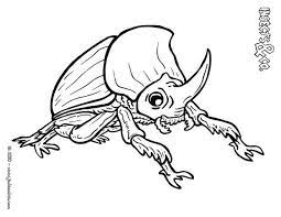 Le Scarabee Est L Un Des Insectes Les Plus Dangereux Du Monde Et Surtout Pas Beau Du Tout Alors On Ameliore Ce Coloriage Animaux Coloriage Insectes Coloriage
