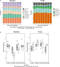 Growing oak trees from cuttings can be more difficult than growing them from seeds or acorns. Frontiers Tree Root Zone Microbiome Exploring The Magnitude Of Environmental Conditions And Host Tree Impact Microbiology
