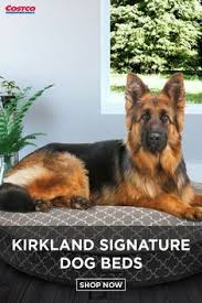 This is especially true in areas that are covered or served by costco. Purchase Costco Dog Fence Up To 68 Off