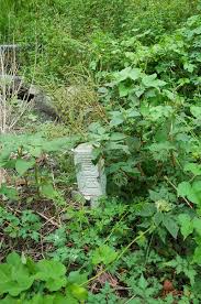 Cinde is a free software application from the video tools. Karopi Karopi 9 é 