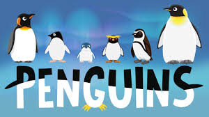 What do penguins have for lunch? Penguins For Kids Interesting Facts Different Types Of Penguins For Children Youtube