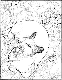 Click here pdf january template. Cat3 Jpg 542 704 Pixels Animal Coloring Pages Zoo Animal Coloring Pages Cat Coloring Page