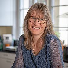 Keine Kontakte und die Folgen: SOLO & CO