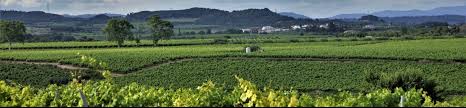 We did not find results for: Ajuntament De Font Rubi Festa Major De Guardiola De Font Rubi