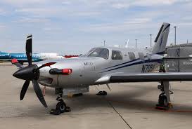 Image result for Piper